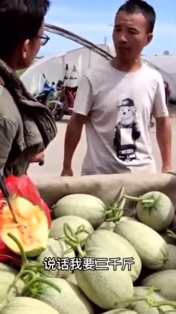 吃瓜假千金免费全集,免费全集大揭秘，真相尽在此处